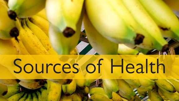 Sources of Health