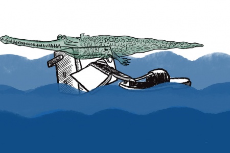 Image from "Water Wars: Episode 2, The Eternal Swamp." It features a reptile atop a radio floating beside a book and a sandal on blue water. 