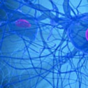 blue neurons
