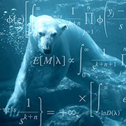 polar bear and logic equations 