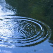 Circular ripples in a pond 
