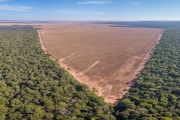 Economists Ben Olken of MIT and Clare Balboni are authors of a new review paper examining the “revolution” in the study of deforestation brought about by satellites, and analyzing which kinds of policies might limit climate-altering deforestation. Pictured is deforestation occurring in Mato Grosso, Brazil.