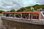 Global Classroom students went to Manaus, Brazil, in the Amazon region during the January Independent Activities Period (IAP) this past year.