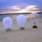 bulbs in sand at beach